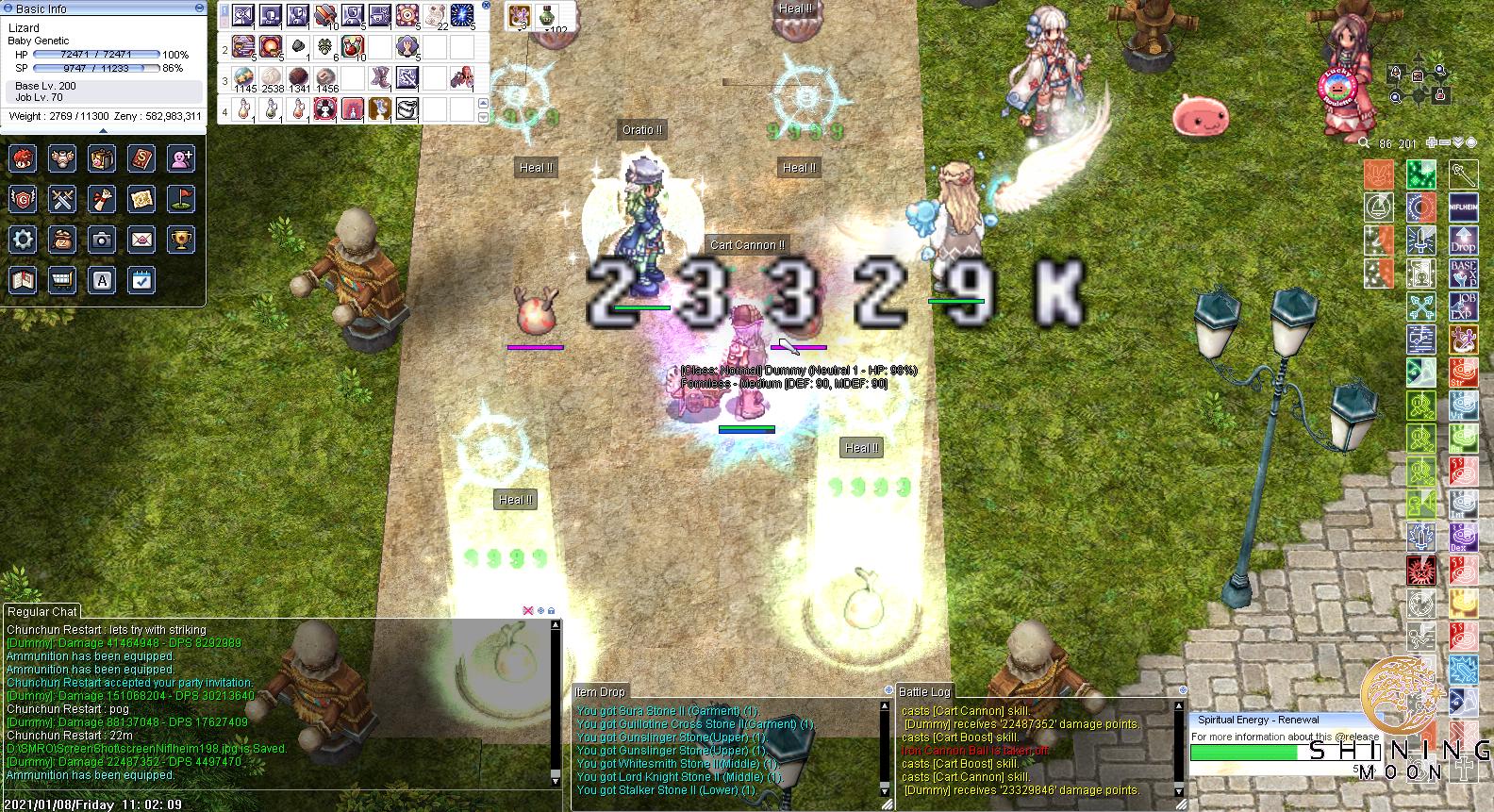 Cart Cannon Genetic Guide UPDATE JAN 26 2021 Merchant